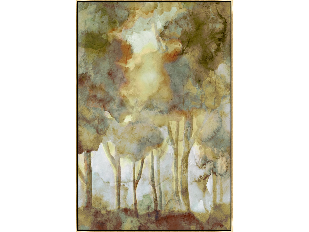 Wet Forest