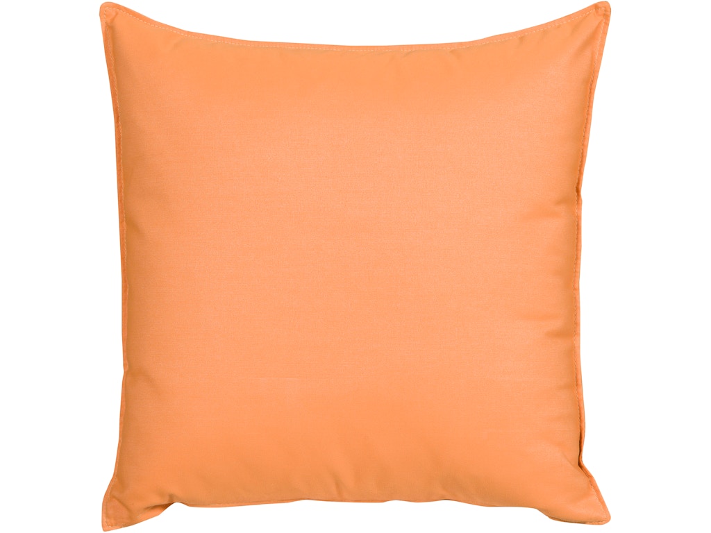 Outdoor Pillow