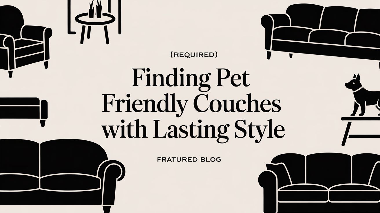 pet friendly couches furniture graphic