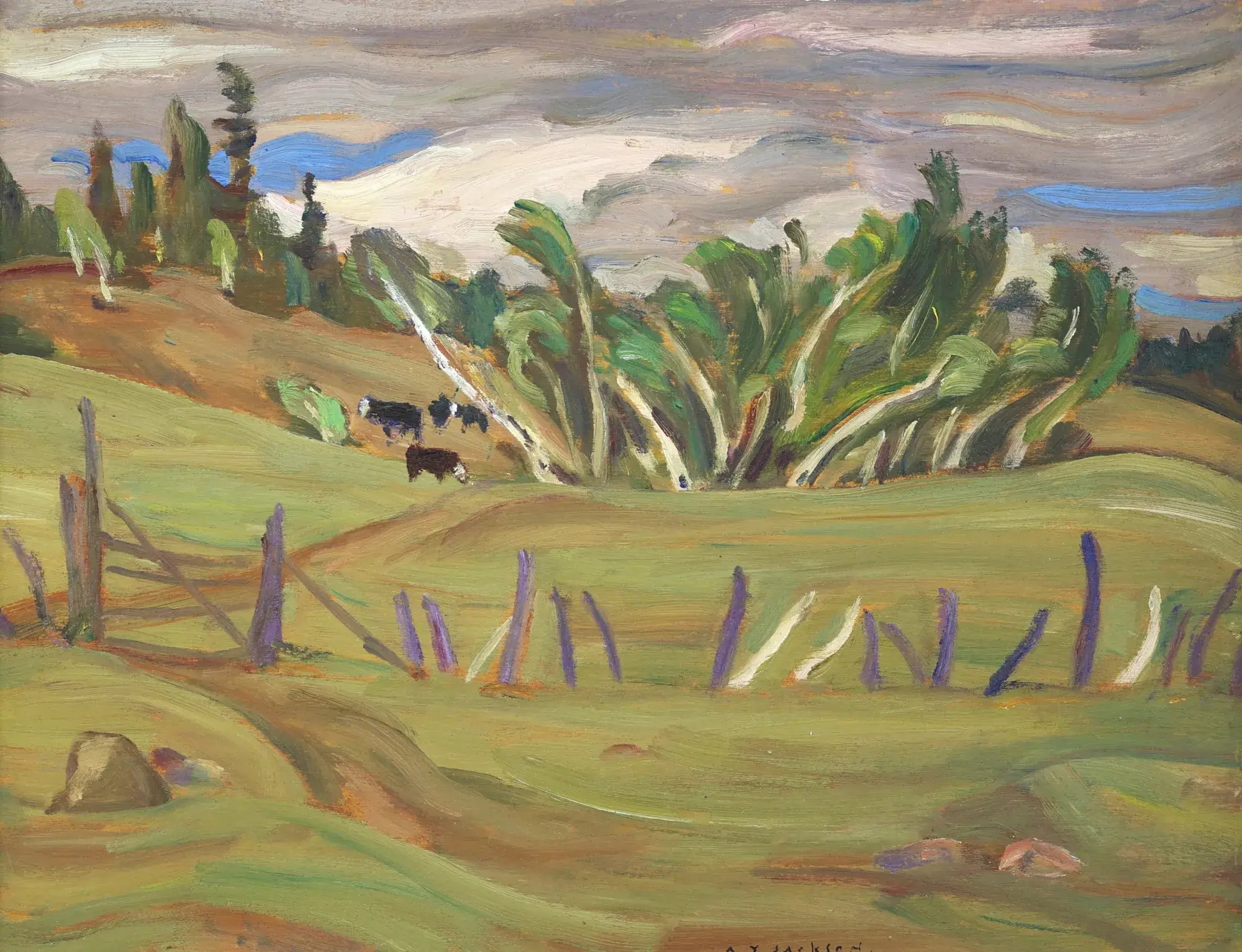 cow (1)