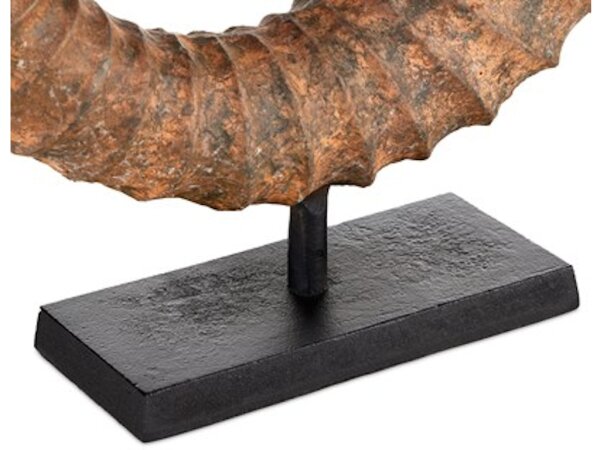Faux Horn Set of 2 - Image 3
