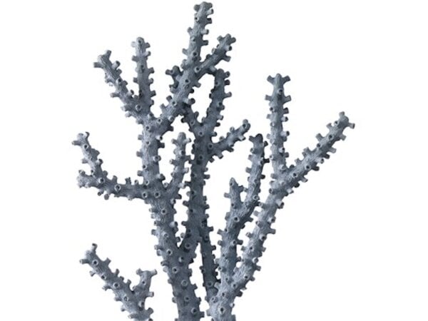 Blue Coral Set of 2 - Image 3
