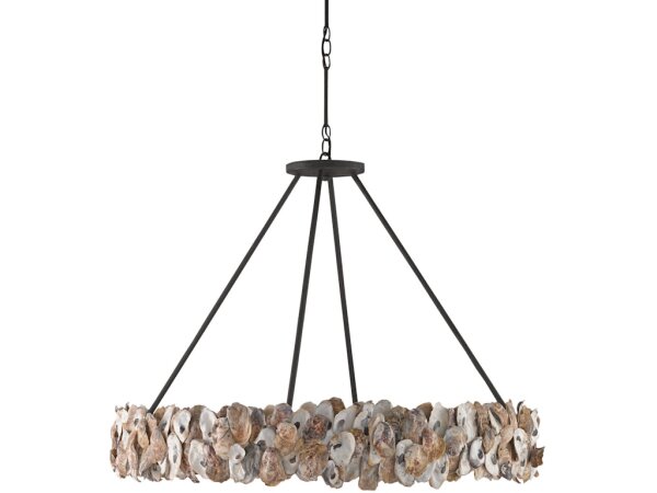 Oyster Shell Chandelier - Image 4