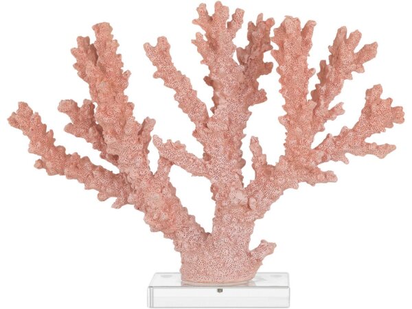 Fire Large Coral - Image 3