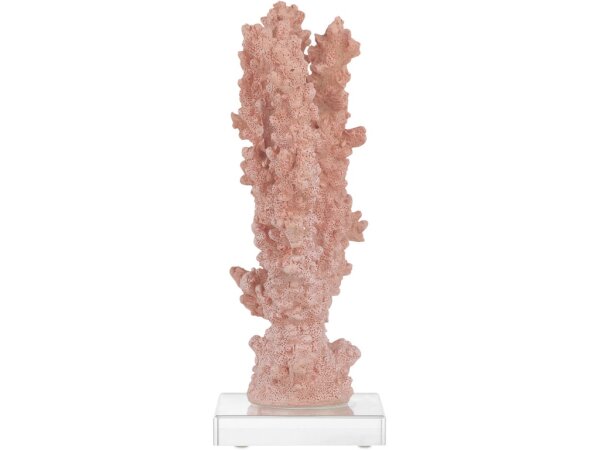 Fire Large Coral - Image 4