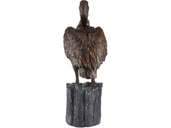 Pelican Bronze - Image 5
