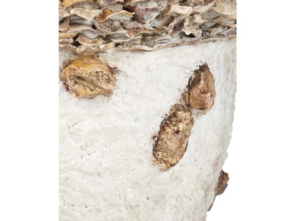 Oyster Shell Medium Planter - Image 3