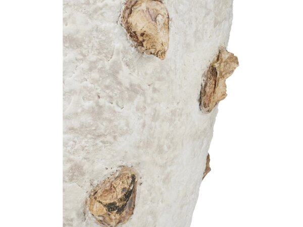 Oyster Shell Large Planter - Image 3