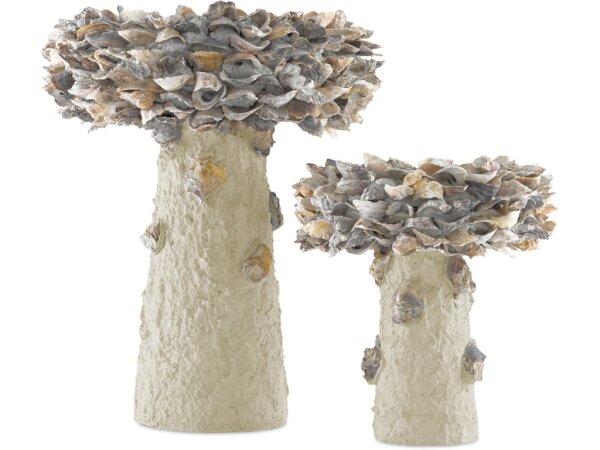 Oyster Shell Small Bird Bath - Image 4