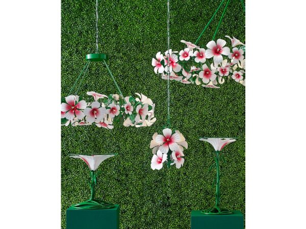 Hibiscus Drinks Table - Image 4