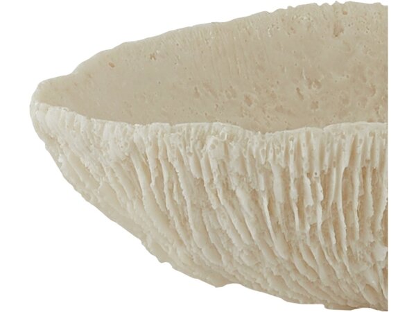 Island Ivory Tray Set of 2 - Image 2
