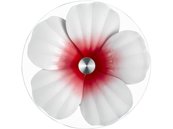 Hibiscus Drinks Table - Image 3