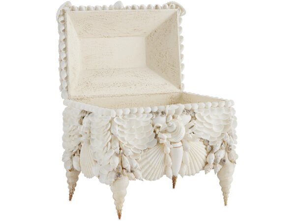 Boardwalk White Shell Box - Image 5