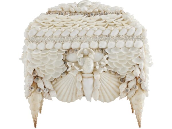 Boardwalk White Shell Box - Image 4