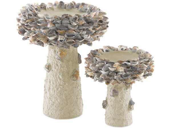 Oyster Shell Small Bird Bath - Image 5